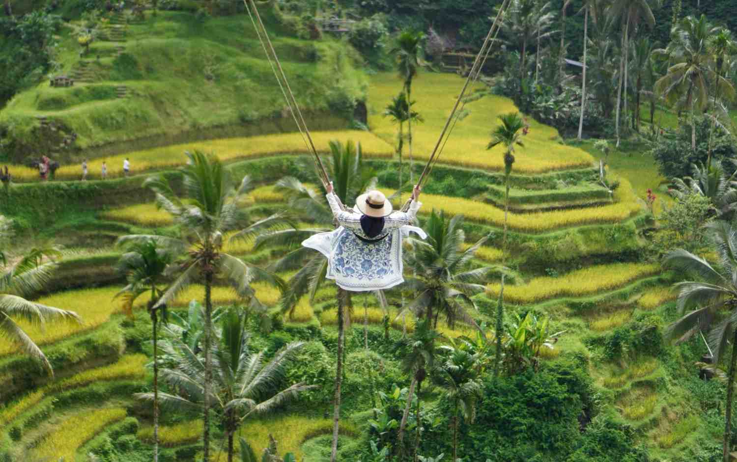 Bali Swing Price 2026 | Bali Adventure Tour Experience