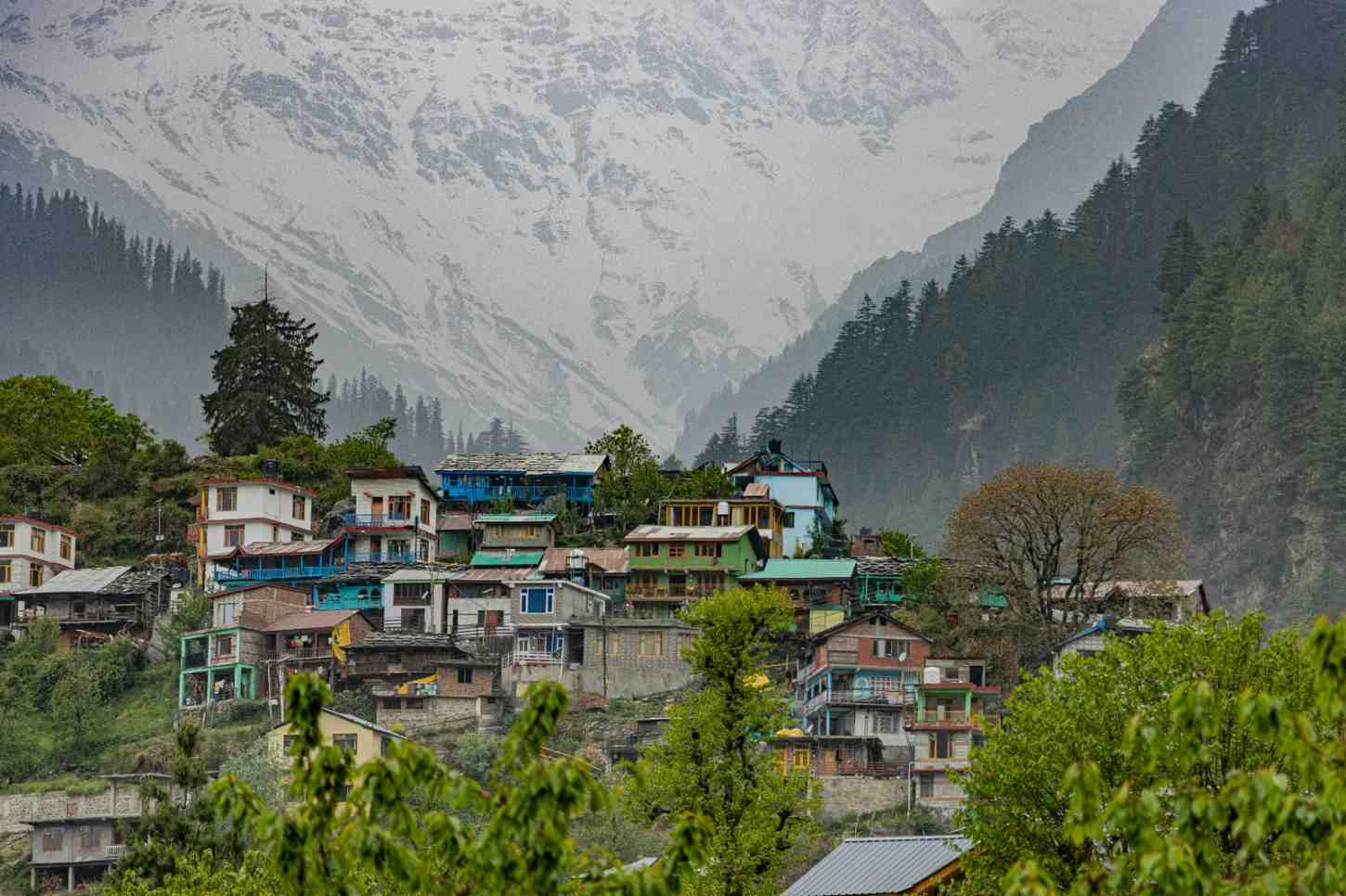 Manali Tour – Mountains, Adventure & Nature Experience