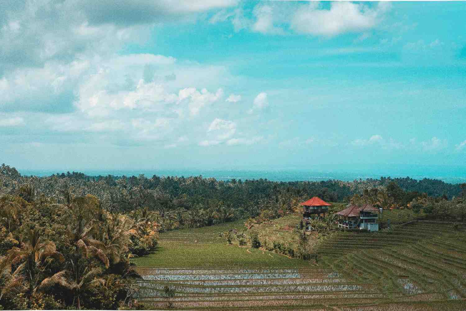 Ubud Bali Tour Package – Culture & Nature | Global Tour Buddy